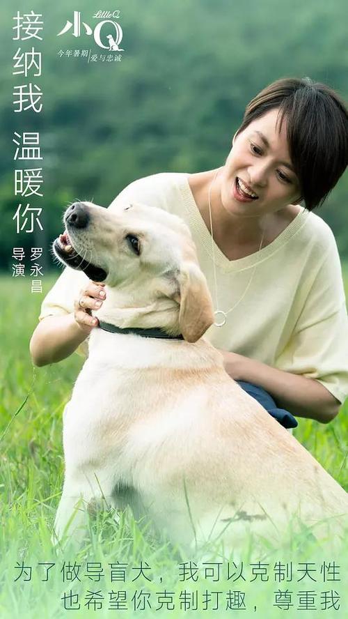 哈德斯菲尔德办理假文凭
